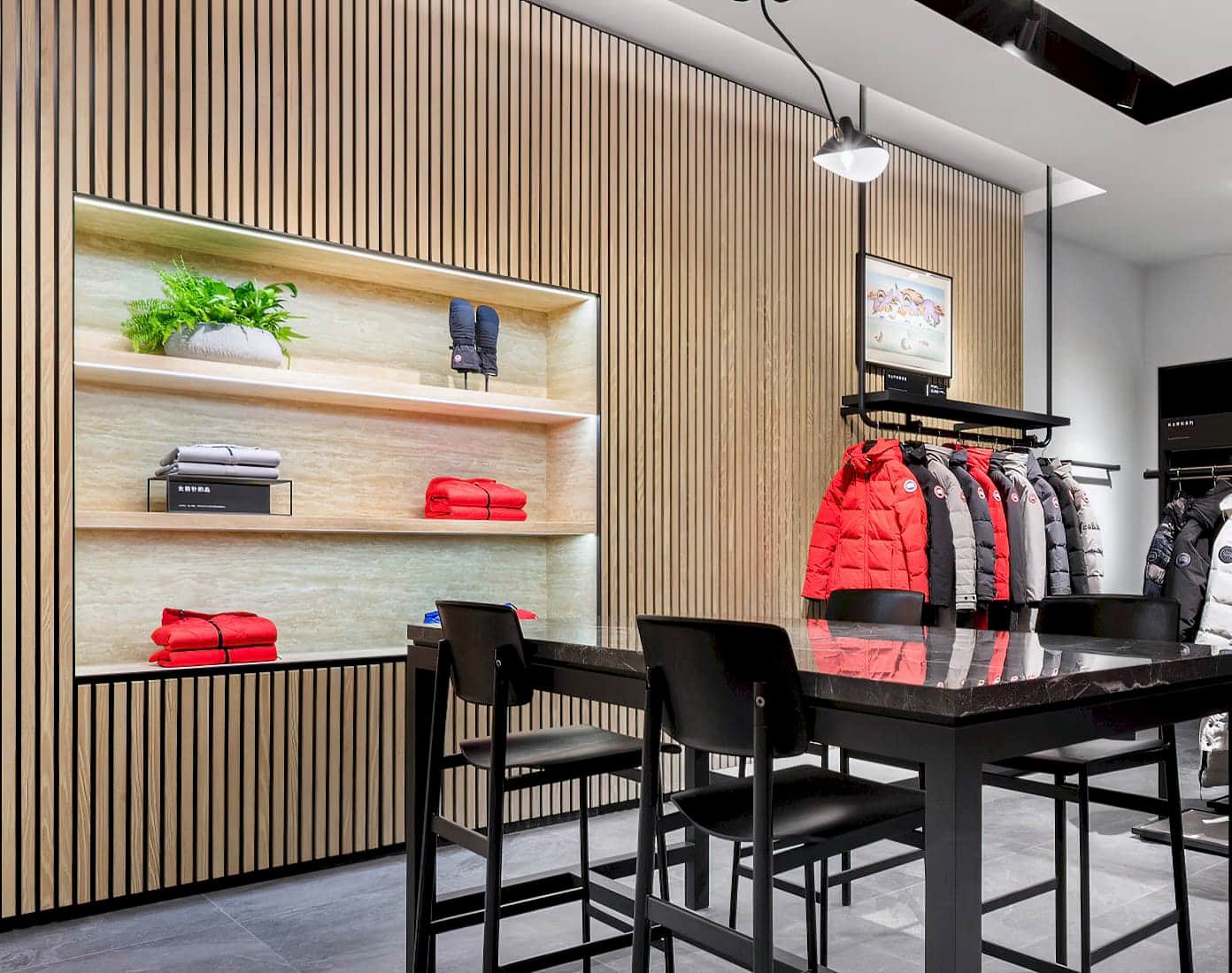 Canada Goose, Changchun Canada Goose, Changchun